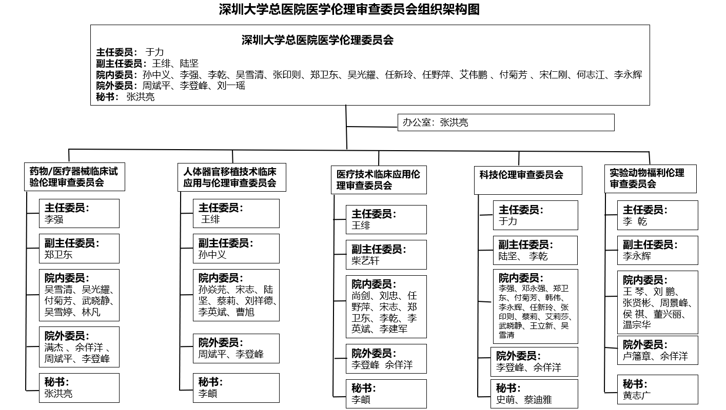 医院组织结构框架图图片