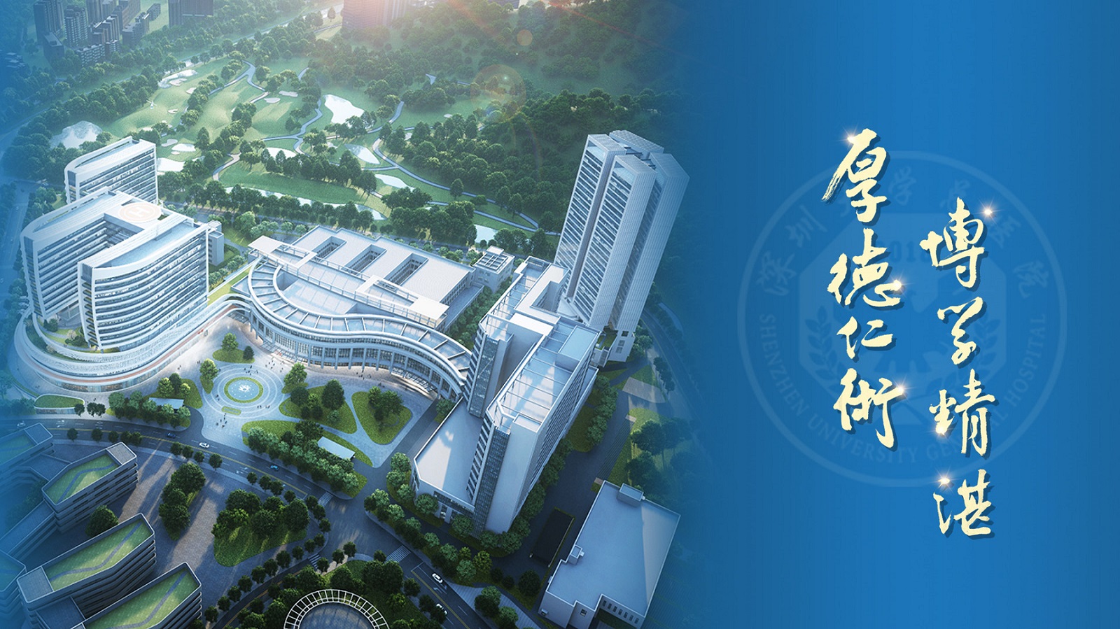 深圳大学总医院-电子评审系统
