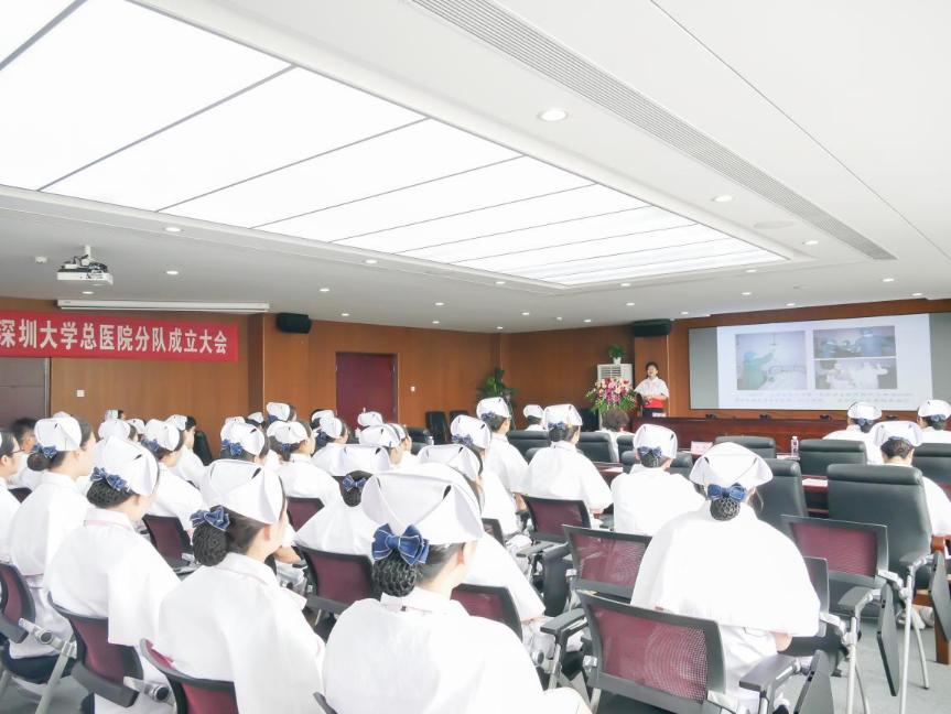 深大总院红十字分队-178wps图片