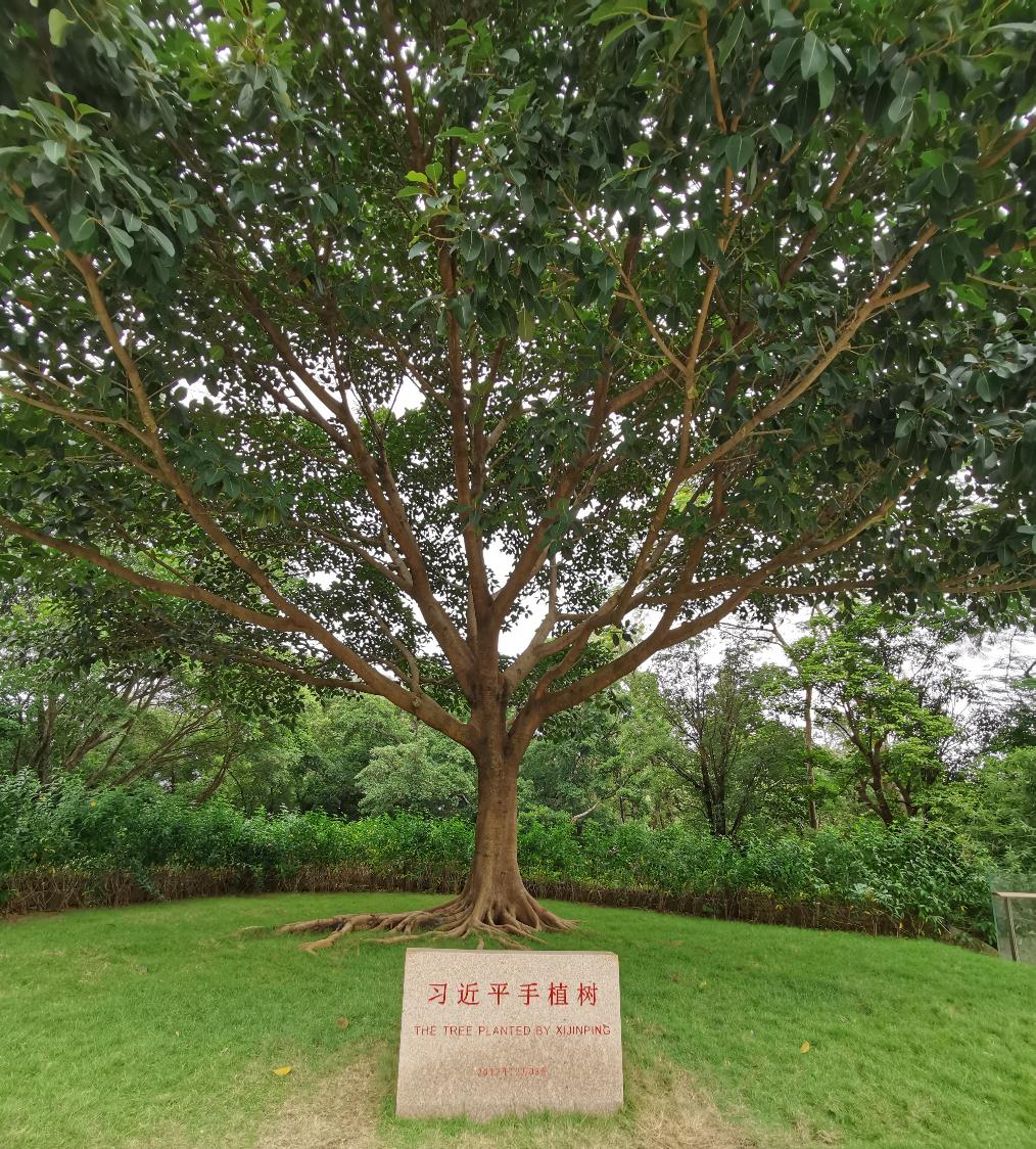 图片 4