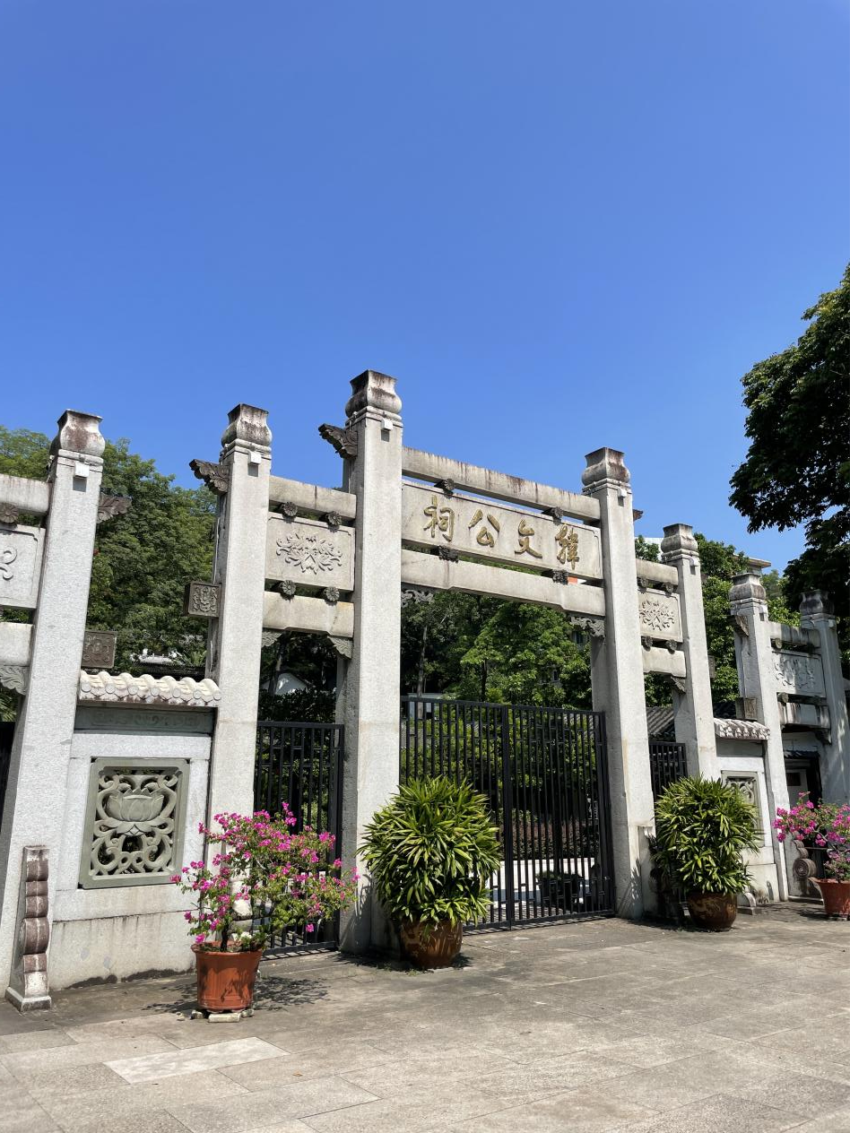 图片3
