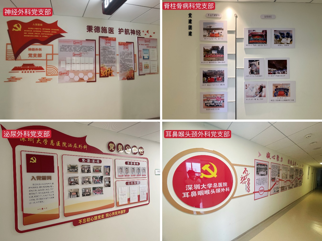 图片5