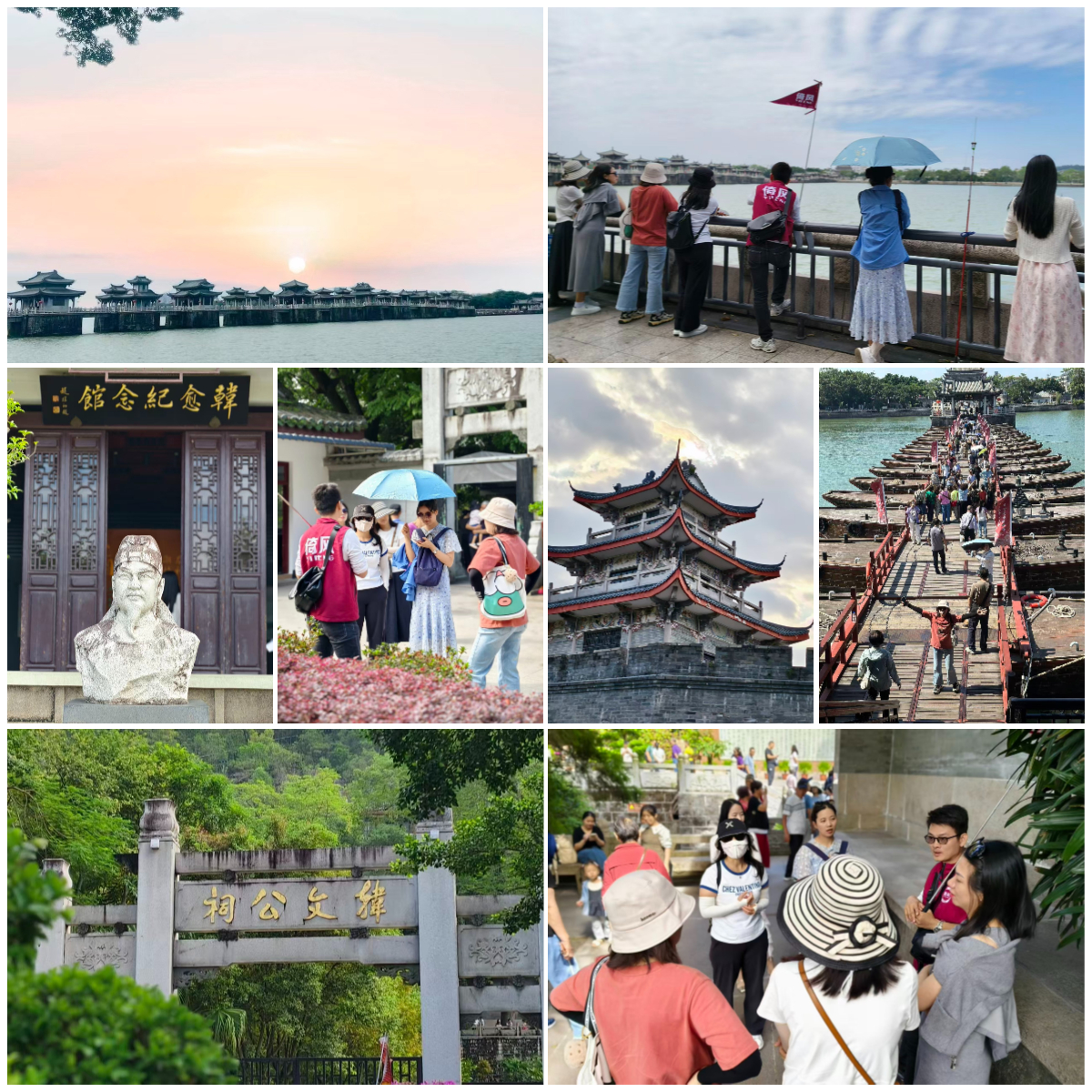 下载 (17)
